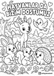 HAYVANLAR BİZİM DOSTUMUZ