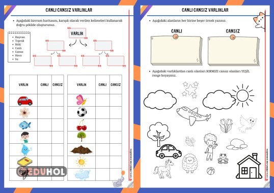 Canlı Cansız Varlıklar Çalışma Sayfası (2sayfa)