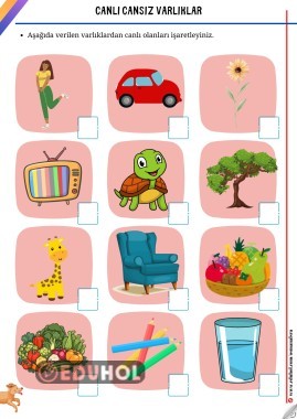 Canlı ve Cansız Varlıklar Etkinliği