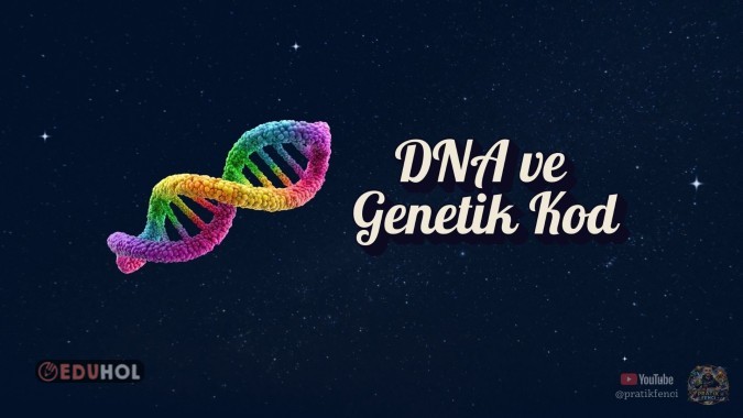DNA ve Genetik Kod- Derse Hazır Sunum 📑