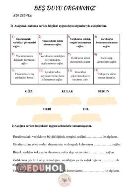 Beş duyumuz etkinlik