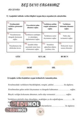 Beş Duyumuz Çalışma Kağıdı