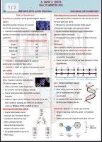 DNA ve genetik kod