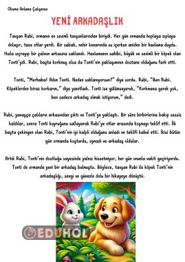 Okuma anlama Çalışması