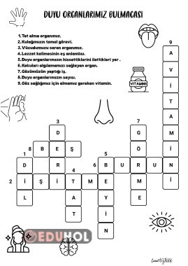 BEŞ DUYU BULMACAMIZ