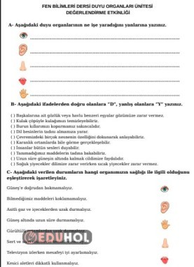 FEN BİLİMLERİ DUYU ORGANLARI DEĞERLENDİRME ETKİNLİĞİ