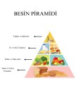 Besin Piramidi
