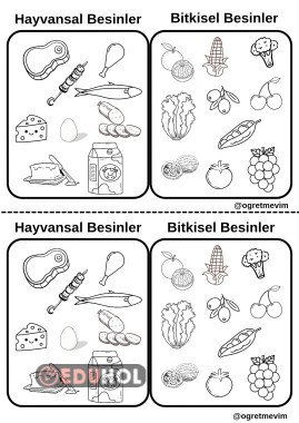 Bitkisel ve Hayvansal Besinler Boyama Deftere Yapıştırma