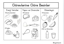 4.Sınıf Besinler İnteraktif Defter Etkinliği