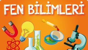 3.sınıf fen bilimlri