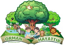 21 Mart Ormanlar Haftası 30 sayfa Pano