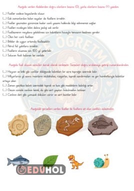 FOSİLLER ÇALIŞMA KAĞIDI