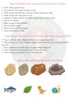 FOSİLLER ÇALIŞMA KAĞIDI