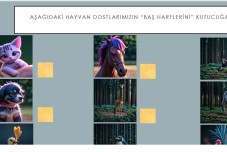 Aşağıdaki hayvan dostlarımızın “Baş harflerini” kutucuğa yazalım