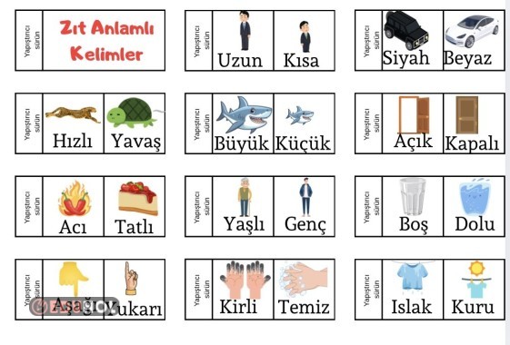Zıt Anlamlı Kelimeler (Sözlüğü)