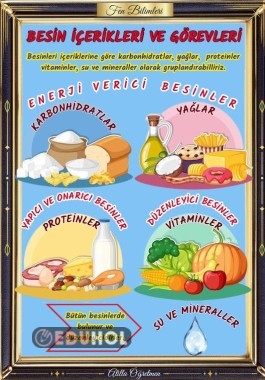 8 PDF BESİN İÇERİKLERİ VE GÖREVLERİ AFİŞ