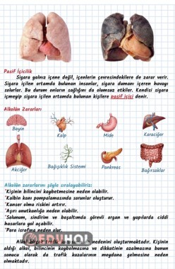 ALKOL VE SİGARANIN ZARARLARI