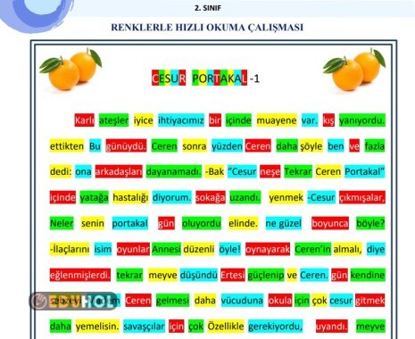 CESUR PORTAKAL 2 SAYFA 2.3.4. SINIFLAR İÇİN RENKLERLE HIZLI OKUMA ETKİNLİĞİ
