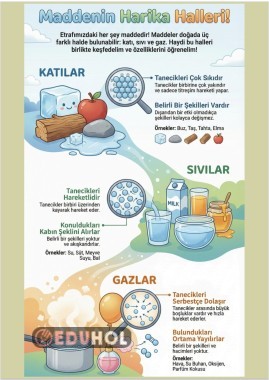 MADDENİN HARİKA HALLERİ AFİŞ