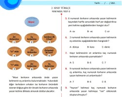 2. SINIF TÜRKÇE YENİ NESİL TEST-3