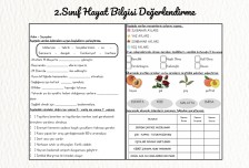 2. Sınıf Hayat Bilgisi Değerlendirmesi