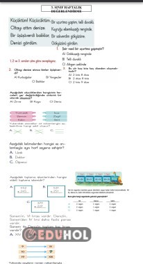 Haftalık deneme sınavı