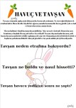 OKUDUĞUNU ANLAMA 1.SINIF