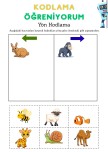 Kodlama Öğreniyorum(Yön Kodlama)