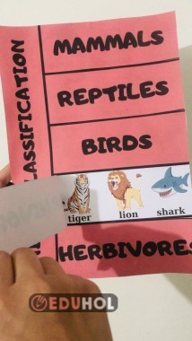 Animal classification craft