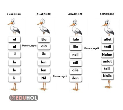LEYLEK AKORDİYON OKUMA ÇALIŞMASI
