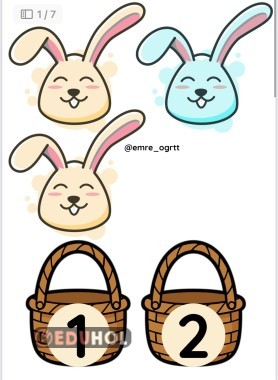 SAYILARI KARŞILAŞTIRMA - TAVŞAN / HAVUÇ ETK.