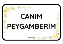 CANIM PEYGAMBERİMİN ÖZELLİKLERİ