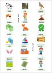 K SESİ GÖRSEL KELİMELER