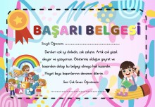 BAŞARI BELGESİ