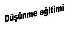 Düşünme eğitimi dersi etkinlik