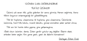 2.sınıf 2.ara değerlendirme