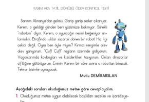 Kasım Ara Tatil Dönüşü Ödev Değerlendirme Testi