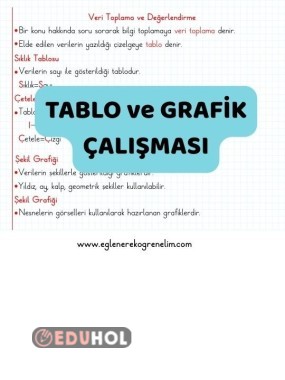 2. Sınıf Veri Toplama Konu Özeti