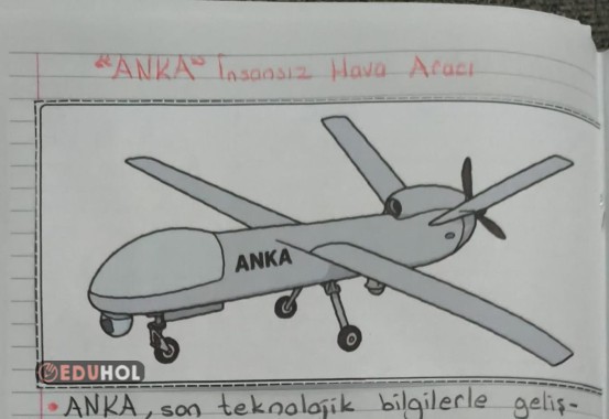 Anka Boyama ve Defter Çalışması
