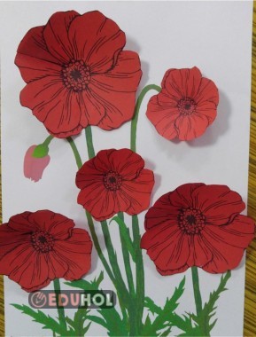 Gelincik Etkinliği Dallı