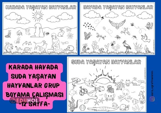 Karada Havada Suda Yaşayan Hayvanlar Grup Boyama