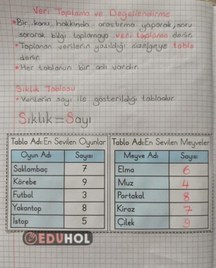 Sıklık Tablosu Defter Çalışması