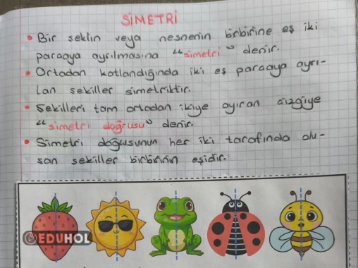 Simetri Konu Özeti