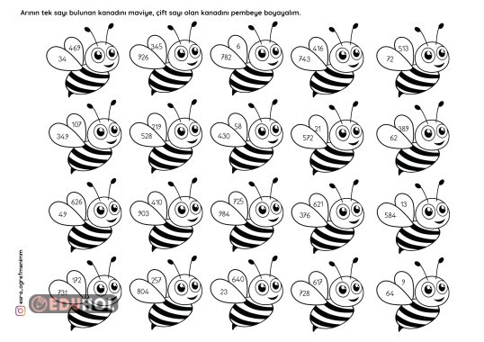 Tek Çift Sayılar Etkinliği