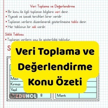 Veri Toplama ve Değerlendirme Konu Özeti