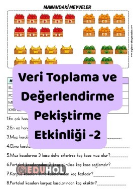 Veri Toplama ve Değerlendirme Pekiştirme Etkinliği 2