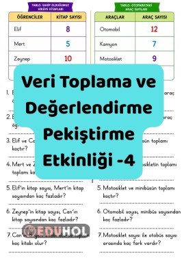 Veri Toplama ve Değerlendirme Pekiştirme Etkinliği 4