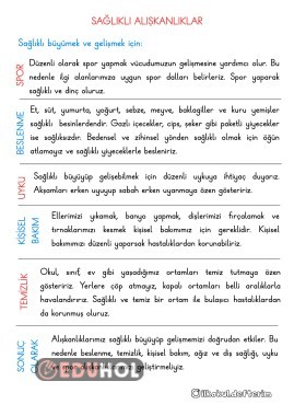 Sağlıklı Alışkanlıklar konulu defter notları.