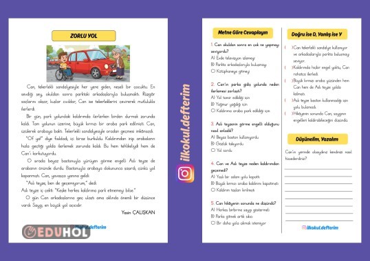 Zorlu Yol adlı okuduğunu anlama metni