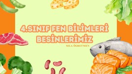 4.SINIF FEN BİLİMLERİ BESİNLERİMİZ PDF KONU ÖZETİ